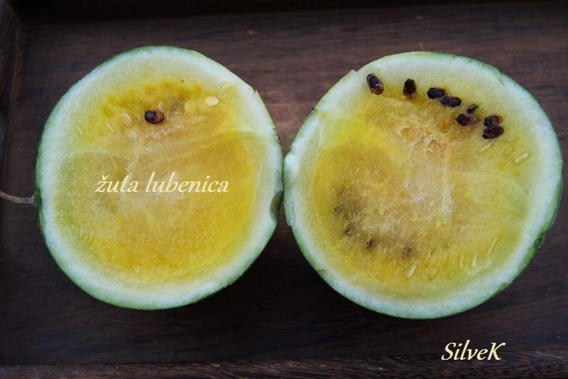 zuta lubenica njuskalo
